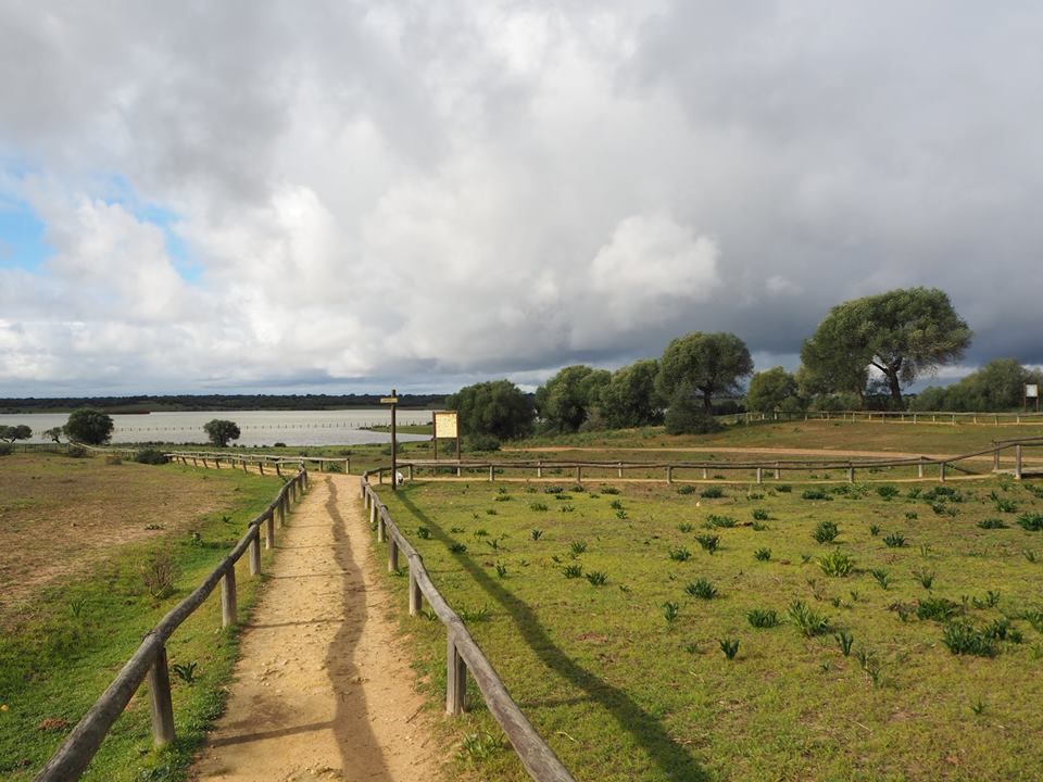 Vista de la Dehesa de Abajo en Puebla del Río, Sevilla