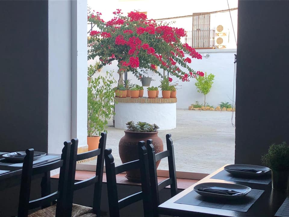 Vista del patio de la cocina de mi suegra en Olivares