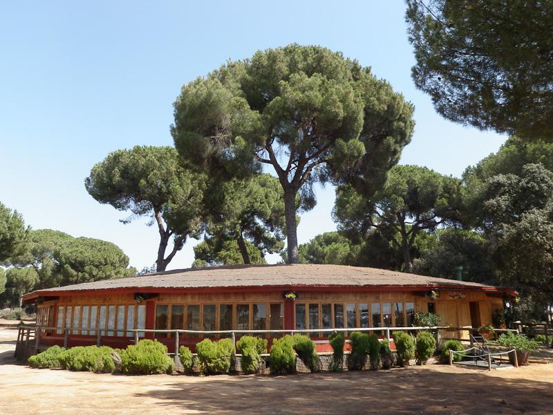 Parque natural de la juliana en Bollullos de la Mitación, en el Corazón del Aljarafe Sevillano